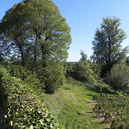 Chateau Belles Graves Bed & Breakfast Pomerols Bagian luar foto