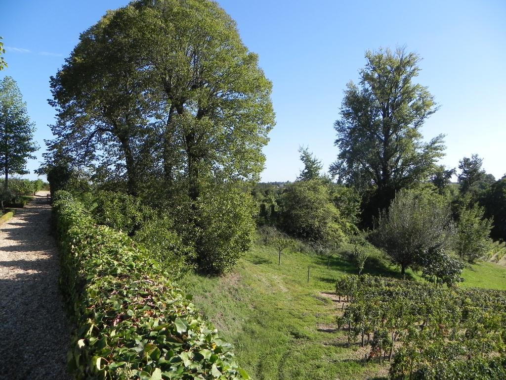 Chateau Belles Graves Bed & Breakfast Pomerols Bagian luar foto