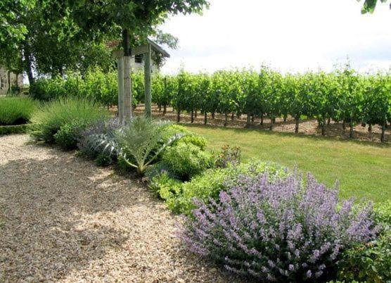 Chateau Belles Graves Bed & Breakfast Pomerols Bagian luar foto