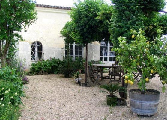Chateau Belles Graves Bed & Breakfast Pomerols Bagian luar foto