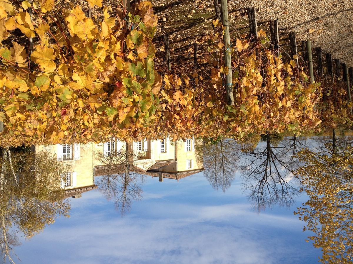 Chateau Belles Graves Bed & Breakfast Pomerols Bagian luar foto