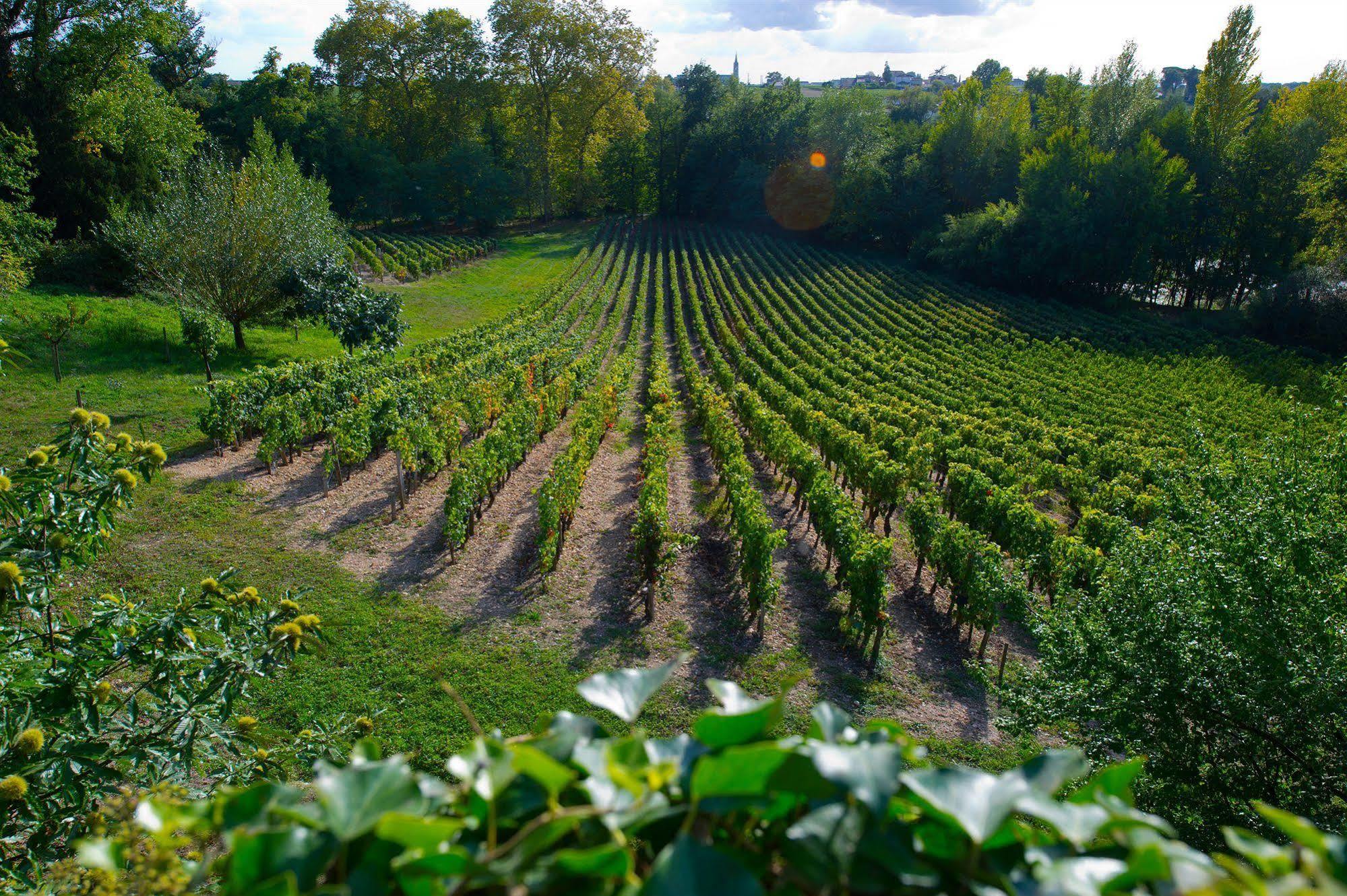 Chateau Belles Graves Bed & Breakfast Pomerols Bagian luar foto